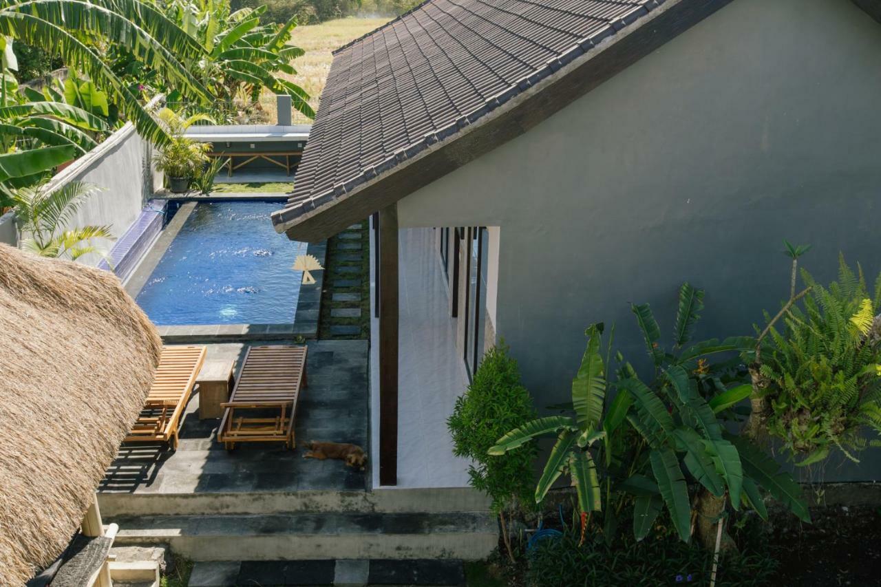 Pluto House Lejlighed Canggu Eksteriør billede